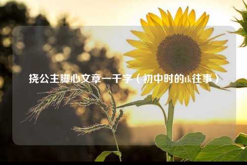 挠公主脚心文章一千字（初中时的tk往事）