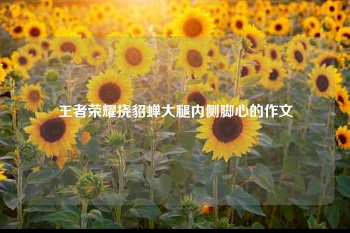 王者荣耀挠貂蝉大腿内侧脚心的作文
