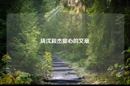 挠沈毅杰脚心的文章