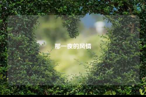 那一夜的风情