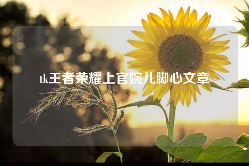 tk王者荣耀上官婉儿脚心文章