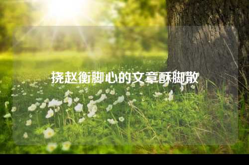 挠赵衡脚心的文章酥脚散