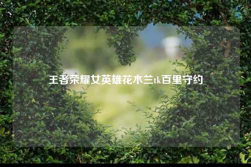 王者荣耀女英雄花木兰tk百里守约