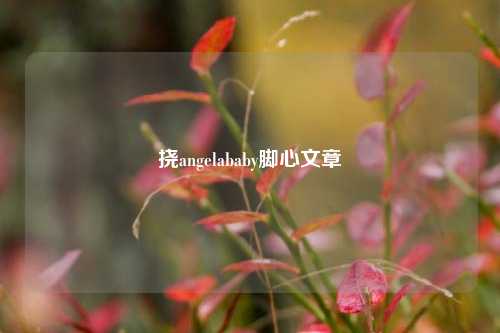 挠angelababy脚心文章