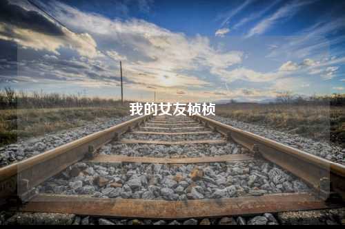 我的女友桢桢
